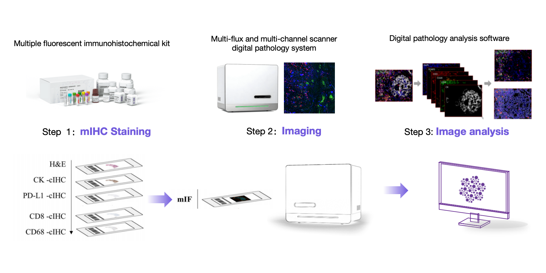 End-to-end spatial biology from tissue to insight